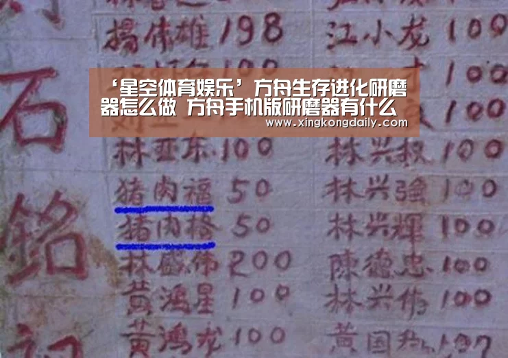 星空体育娱乐
